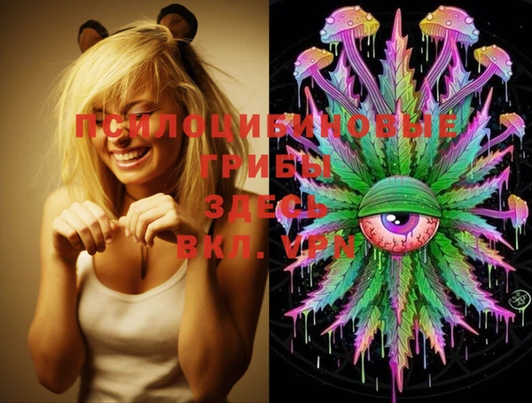 MDMA Premium VHQ Бородино