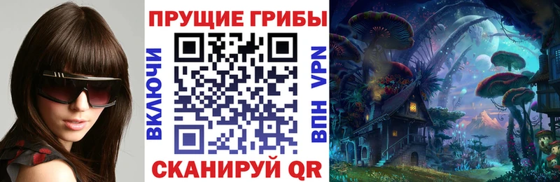 Галлюциногенные грибы Psilocybe  Купить где  Сальск 